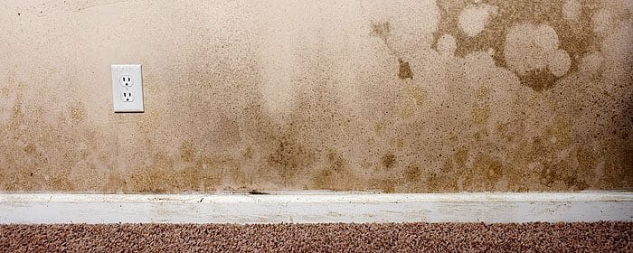 Wilgoć w domu – na ścianach, suficie lub podłodze – grafika poradnikowa