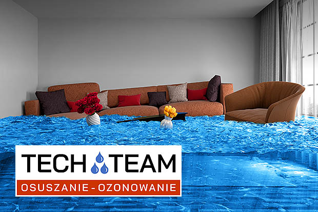 tech-team24.pl - Osuszanie Gdańsk